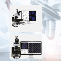 ASI 染色体分析系统