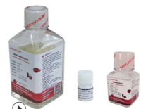 友康生物 NC0103 间充质干细胞无血清培养基 500ml/瓶 2-8℃保存