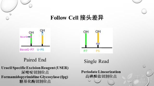 点击图片查看详情 测序的原理_基因芯片的测序原理图(3)