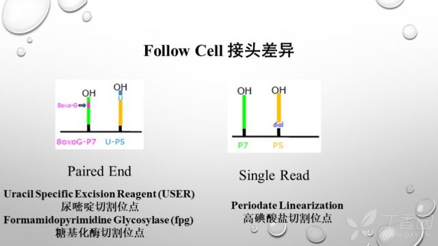 测序的原理_基因芯片的测序原理图(3)