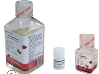 友康生物 NC1004 干细胞温和消化酶 100ml/瓶 2-8℃