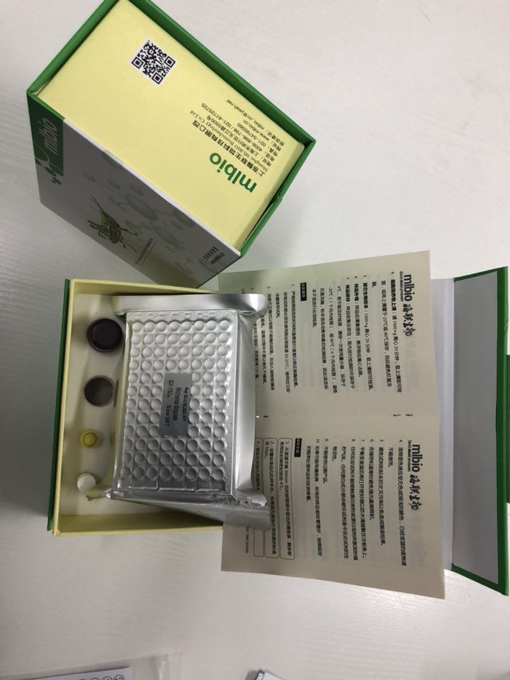 人白细胞介素2(IL-2)ELISA试剂盒