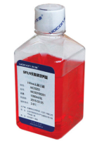 友康 SP2/0细胞无血清培养基