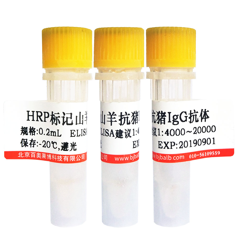 HRP标记甲状腺素(T4-HRP)