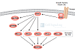 Protein Kinase C Signaling Interactive Pathway