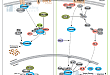 Wnt/β-Catenin Signaling