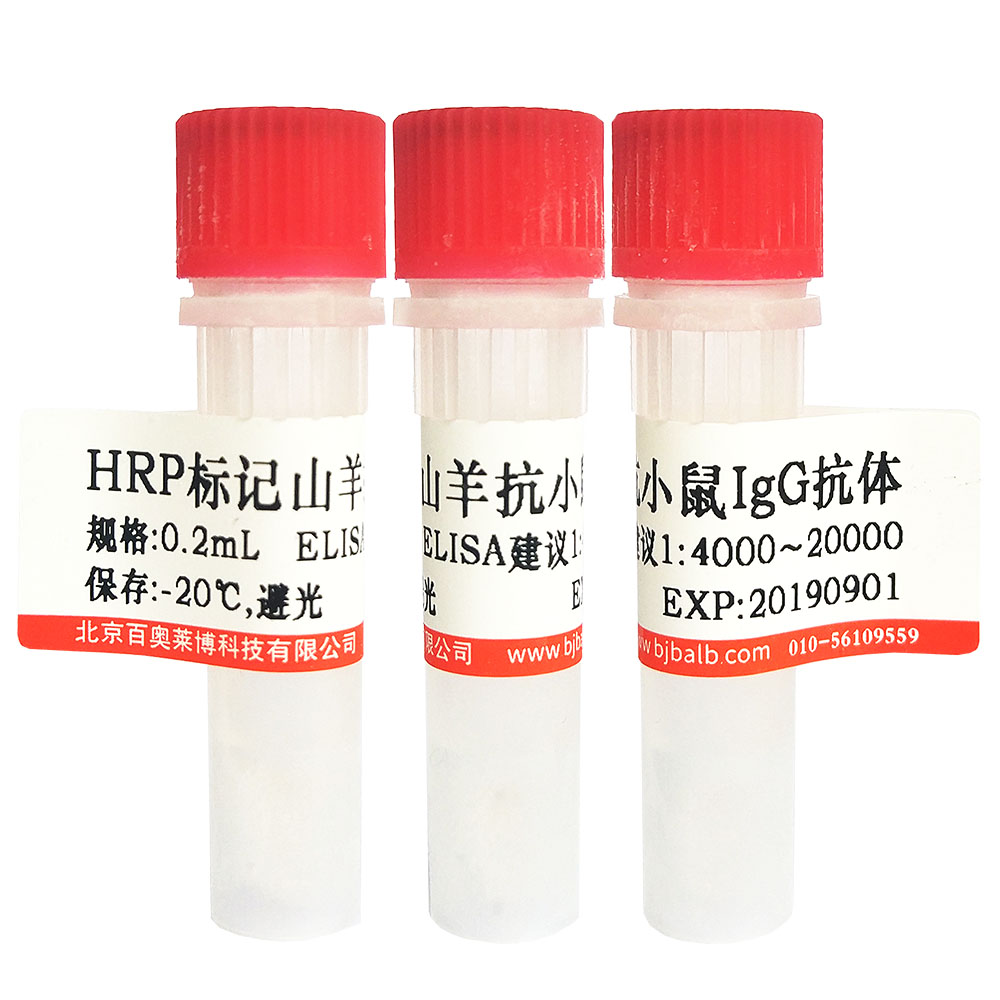 HRP标记生物素(Biotin-HRP)