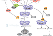 Translational Control: Regulation of eIF2