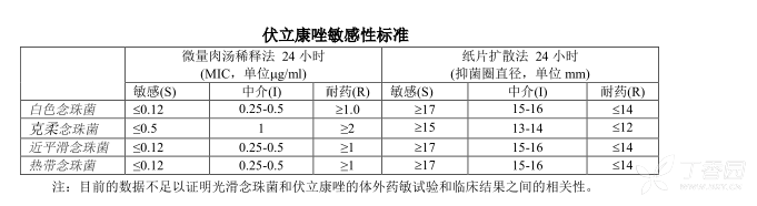 图片预览