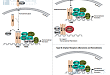 Nuclear Receptor Signaling