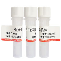 FITC标记羊抗猪IgG抗体