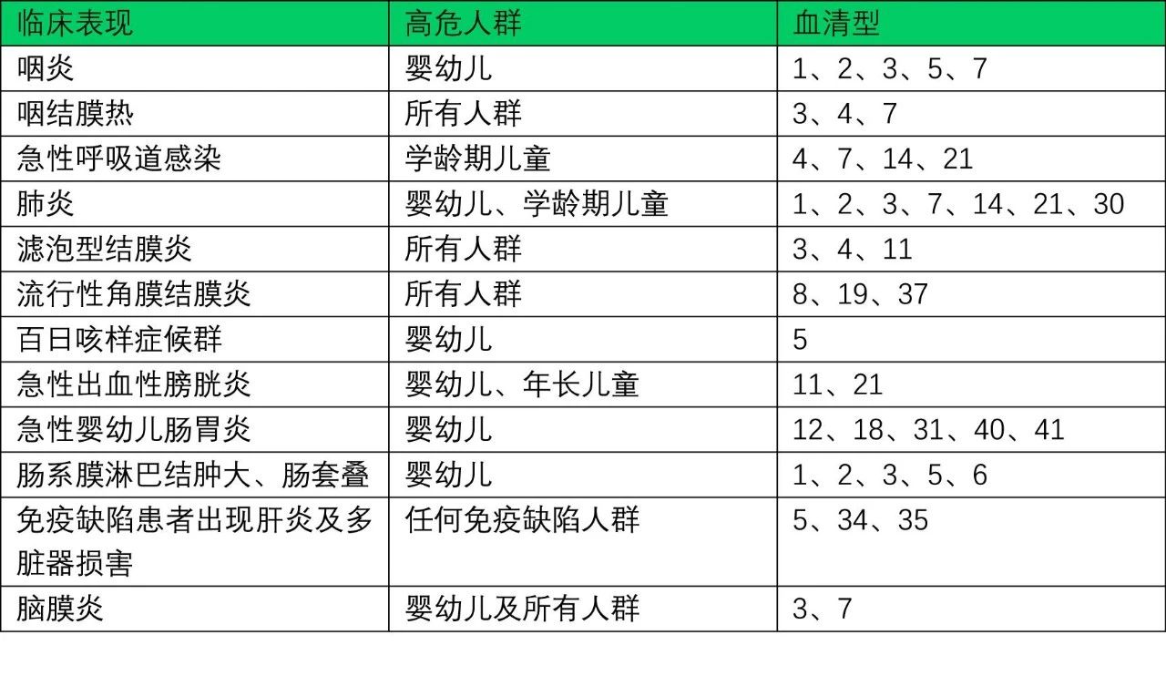 e dxy cn