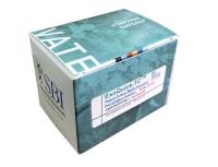 SBI ExoQuick-TC EXOTC10A-1 现货供应