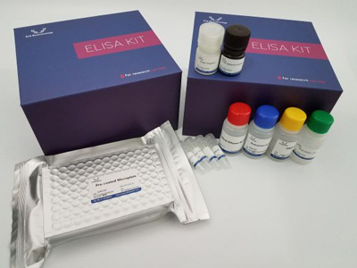 Human ACVR1 ELISA Kit/人激活素A受体Ⅰ ELISA Kit