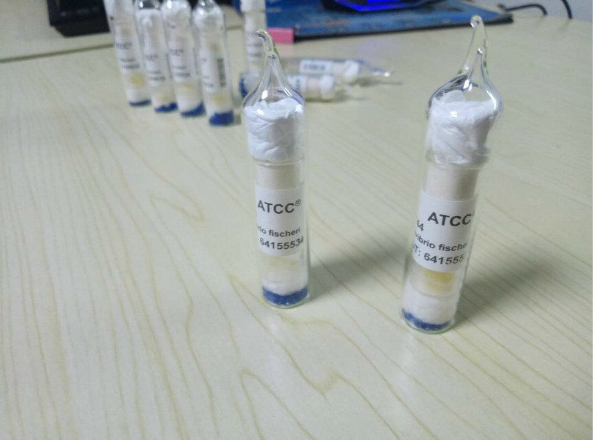 ATCC15459 479 [CBS 361.65]