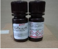 TNBS（5%水溶液,Sigma原装）