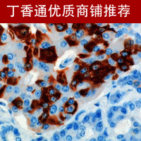 免疫组化（IHC）实验服务