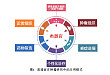 肠道类器官在精准医学中的应用