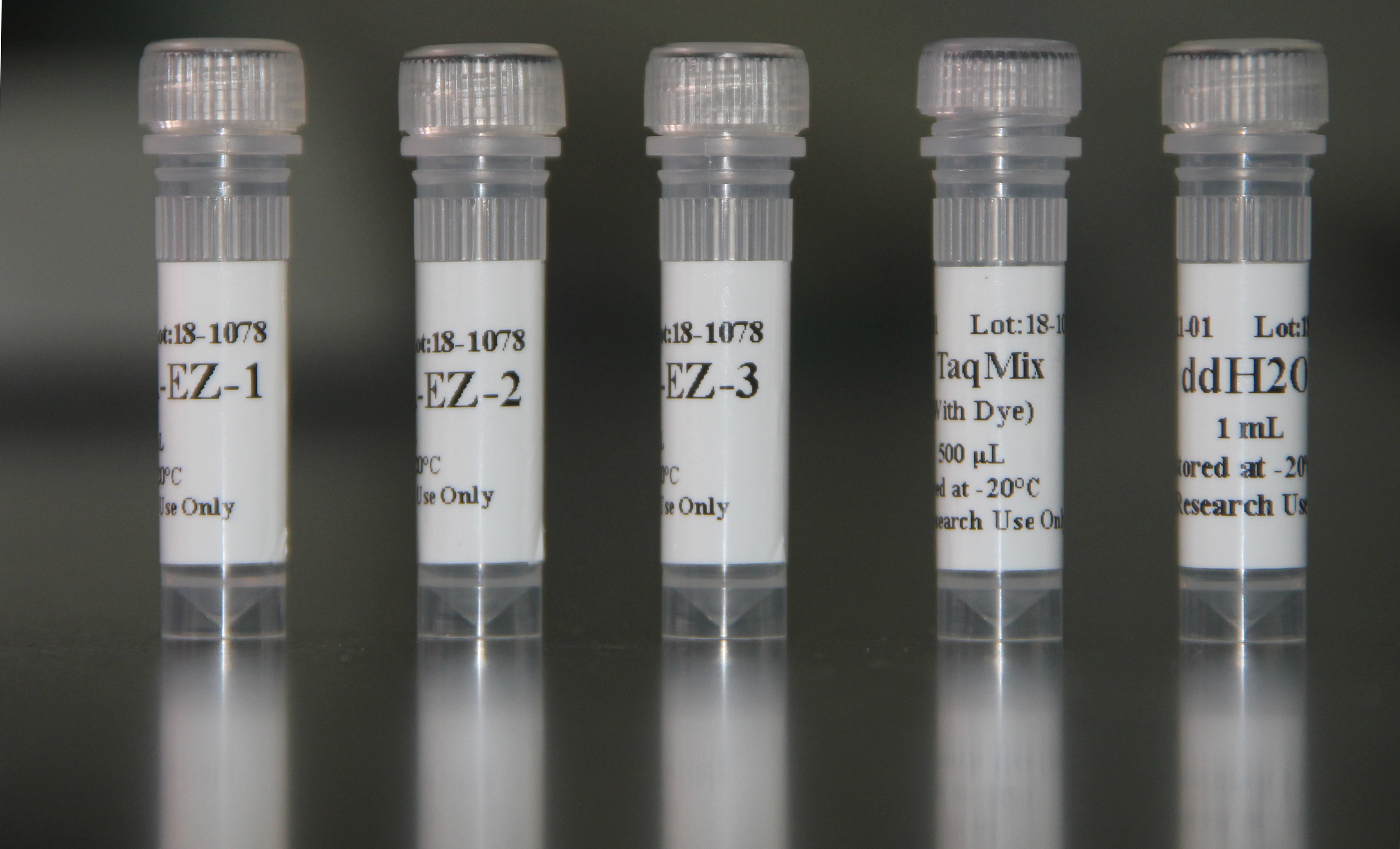 小鼠组织直接PCR试剂盒