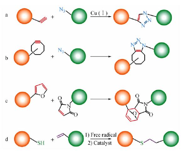 一,定义点击化学(click chemistry),也译作链接化学,速配接合组合式