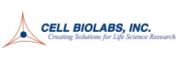 Endothelial Tube Formation Assay (In Vitro Angiogenesis Assay)