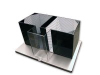 条件性位置偏好