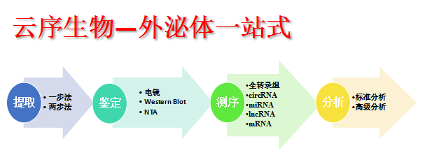 新外泌体研究mirna成果：带你揭秘长期运动对心脏的好处 上海云序生物科技有限公司