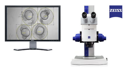 斑马鱼微视行为分析系统-斑马鱼行为分析