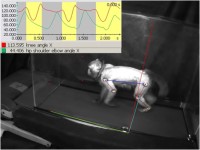 动物精细行为学系统