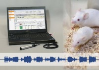 声音行为分析系统