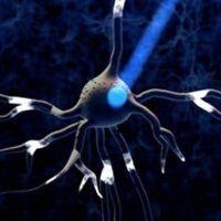 光遗传/光激活/Cre依赖 AAV病毒 rAAV-EF1α-DIO-hChR2(H134R