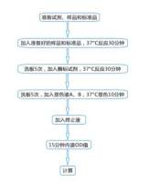 小鼠E选择素(E-Selectin/CD62E)elisa酶联免疫试剂盒规格