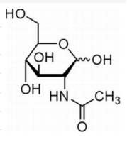 N-乙酰-D-氨基葡萄糖