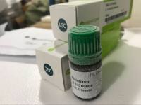 蓝色预染次高分子量蛋白质Marker规格