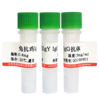 羊抗鸡IgY/IgG(H+L)抗体