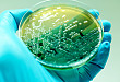 支扩合并铜绿假单胞菌感染，看看大咖都是怎么处理的