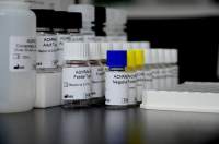 ATF6 beta活化转录因子6β抗体