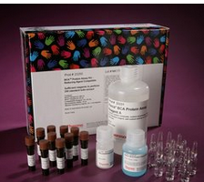 Pierce™ BCA Protein Assay Kit - Reducing Agent Compatible