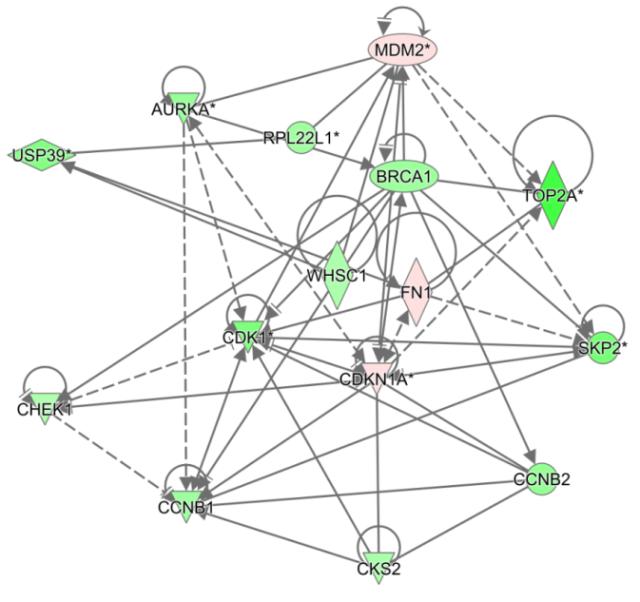 基于 IPA 的自定义网络分析