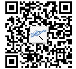 ARPM1肌动蛋白相关蛋白M1抗体