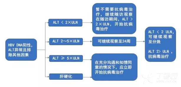 孕妇肝gdp(2)