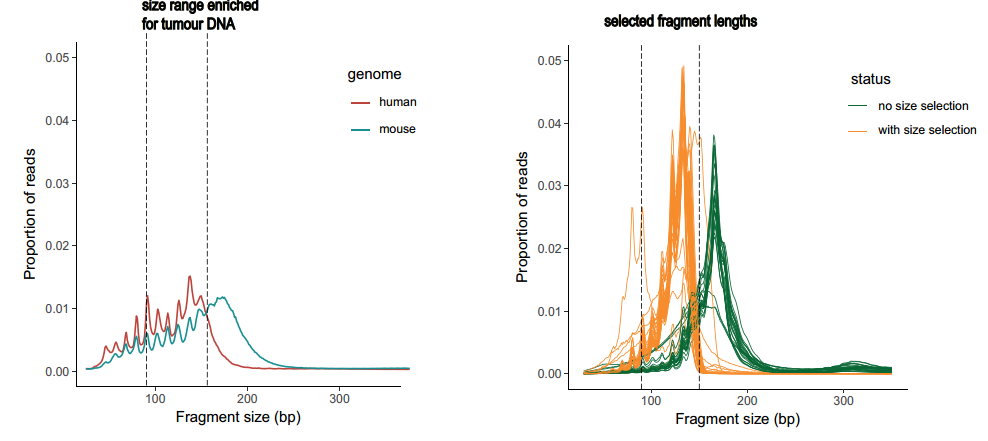 液态活检中的片段筛选——不容忽视的「小事情」