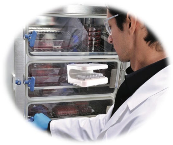 药化实验的利器——zenCELL owl 活细胞动态成像及分析系统