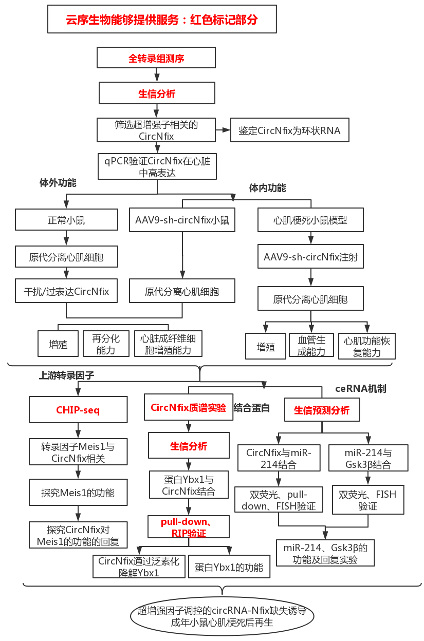 临床试验技术路线图图片