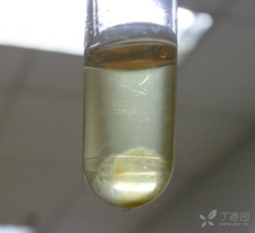 试管底部出现一些膜状的物质,分离后验证该膜为该细菌凝聚而成的菌膜
