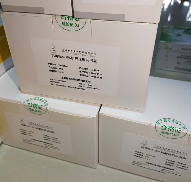 非洲猪瘟病毒实时荧光定量PCR试剂盒