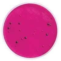 无菌水样采集袋说明书