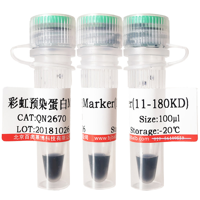 Lillie三价铁染色液北京厂家