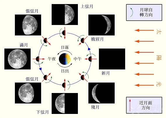 新月征?这种称谓科学吗?一根筷子吃藕片--挑眼