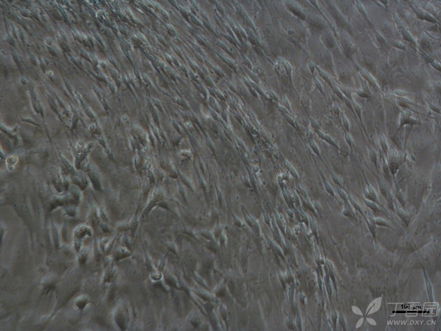 3341115788295104775-8w.jpg!w640